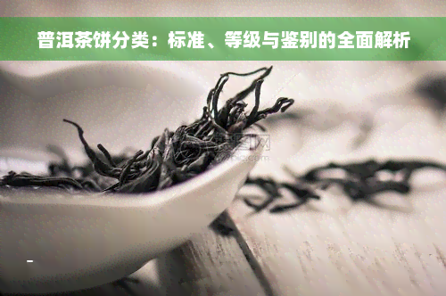 普洱茶饼分类：标准、等级与鉴别的全面解析