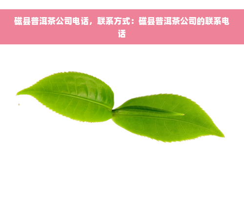 磁县普洱茶公司电话，联系方式：磁县普洱茶公司的联系电话