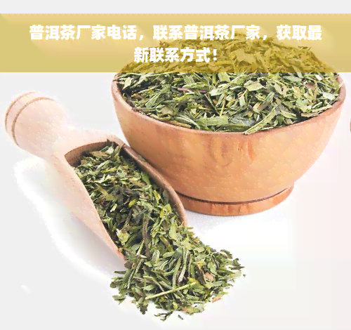 普洱茶厂家电话，联系普洱茶厂家，获取最新联系方式！