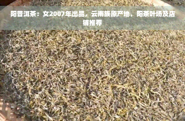 阳普洱茶：女2007年出品，云南族原产地，阳茶叶场及店铺推荐