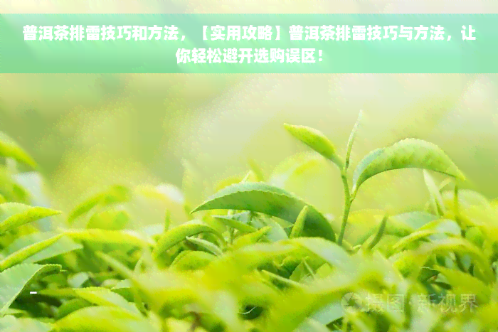 普洱茶排雷技巧和方法，【实用攻略】普洱茶排雷技巧与方法，让你轻松避开选购误区！