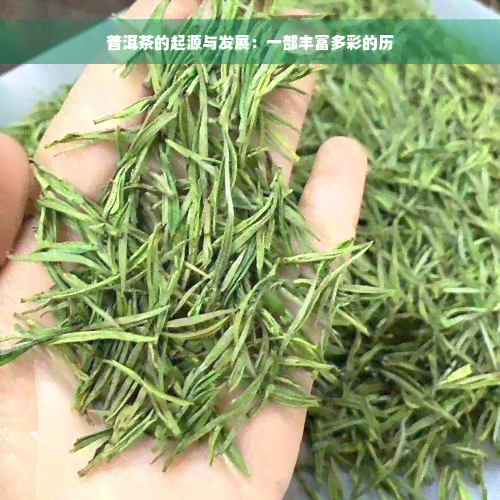 普洱茶的起源与发展：一部丰富多彩的历