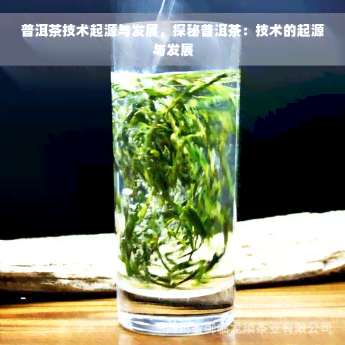 普洱茶技术起源与发展，探秘普洱茶：技术的起源与发展