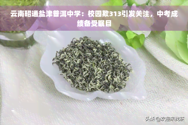 云南昭通盐津普洱中学：校园欺313引发关注，中考成绩备受瞩目