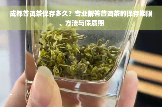 成都普洱茶保存多久？专业解答普洱茶的保存期限、方法与保质期