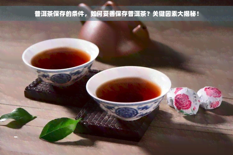 普洱茶保存的条件，如何妥善保存普洱茶？关键因素大揭秘！