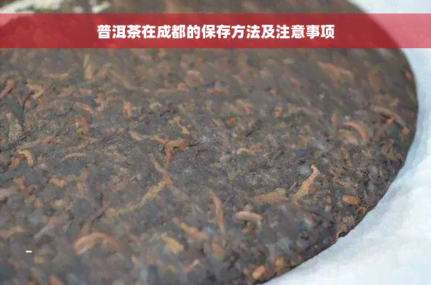 普洱茶在成都的保存方法及注意事项