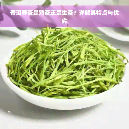 普洱春茶是熟茶还是生茶？详解其特点与优劣