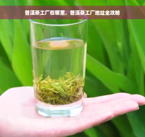 普洱茶工厂在哪里，普洱茶工厂地址全攻略