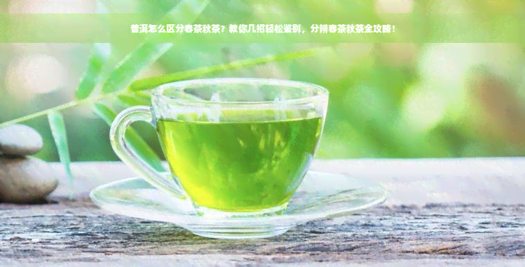 普洱怎么区分春茶秋茶？教你几招轻松鉴别，分辨春茶秋茶全攻略！