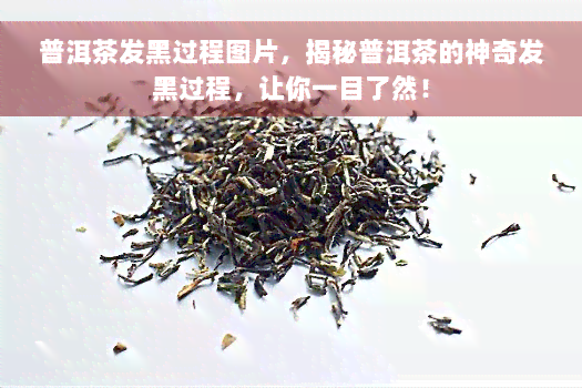 普洱茶发黑过程图片，揭秘普洱茶的神奇发黑过程，让你一目了然！