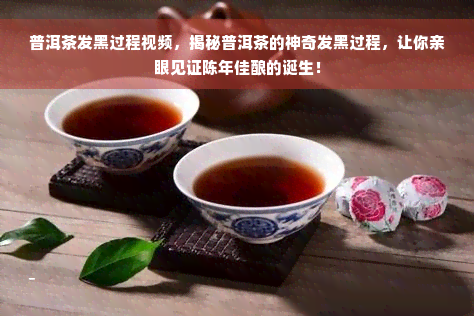 普洱茶发黑过程视频，揭秘普洱茶的神奇发黑过程，让你亲眼见证陈年佳酿的诞生！