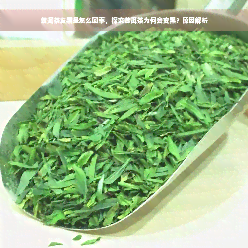 普洱茶发黑是怎么回事，探究普洱茶为何会变黑？原因解析