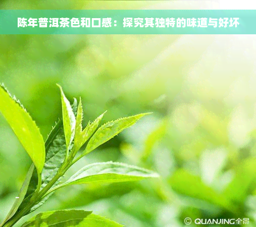 陈年普洱茶色和口感：探究其独特的味道与好坏