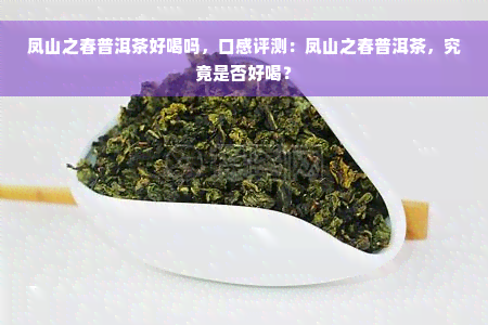 凤山之春普洱茶好喝吗，口感评测：凤山之春普洱茶，究竟是否好喝？