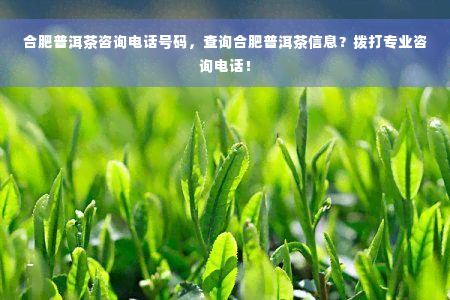 合肥普洱茶咨询电话号码，查询合肥普洱茶信息？拨打专业咨询电话！