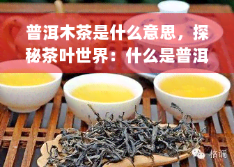 普洱木茶是什么意思，探秘茶叶世界：什么是普洱木茶？