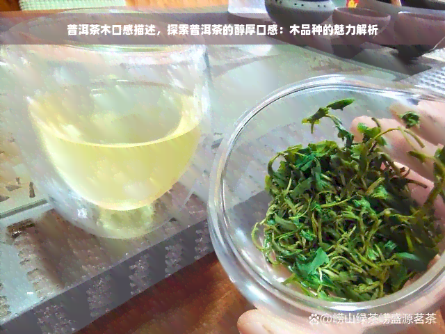 普洱茶木口感描述，探索普洱茶的醇厚口感：木品种的魅力解析