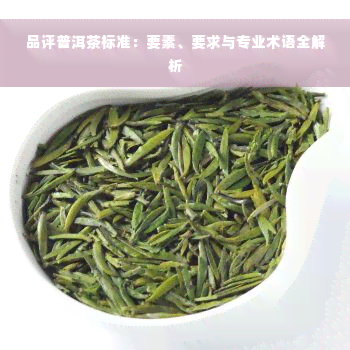 品评普洱茶标准：要素、要求与专业术语全解析