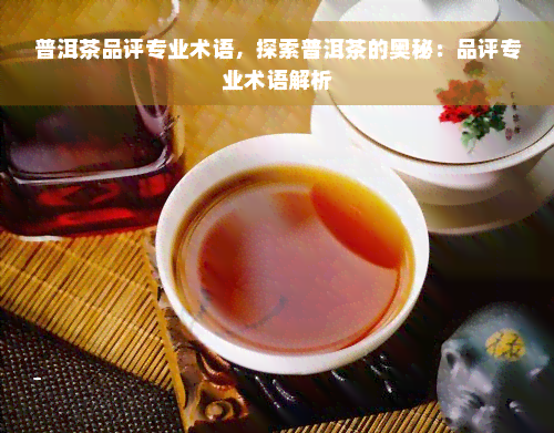 普洱茶品评专业术语，探索普洱茶的奥秘：品评专业术语解析