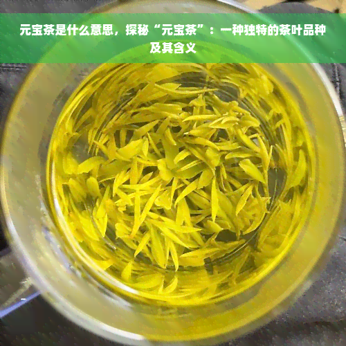 元宝茶是什么意思，探秘“元宝茶”：一种独特的茶叶品种及其含义