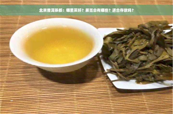 北京普洱茶都：哪里买好？展览会有哪些？适合存放吗？