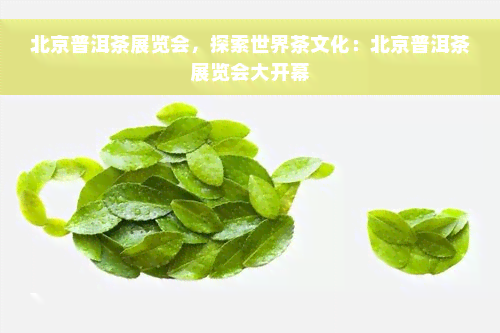 北京普洱茶展览会，探索世界茶文化：北京普洱茶展览会大开幕