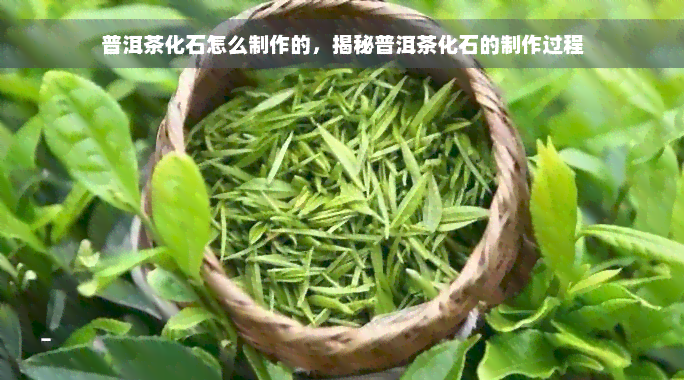 普洱茶化石怎么制作的，揭秘普洱茶化石的制作过程