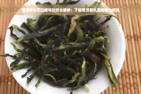 普洱茶化石口感与功效全解析：了解普洱茶化石的魅力所在