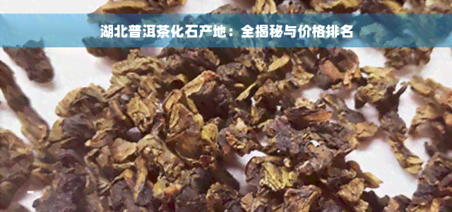 湖北普洱茶化石产地：全揭秘与价格排名