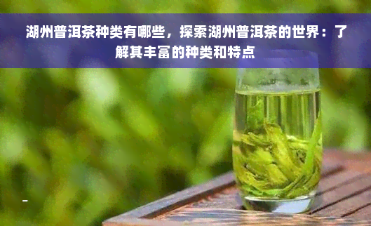 湖州普洱茶种类有哪些，探索湖州普洱茶的世界：了解其丰富的种类和特点