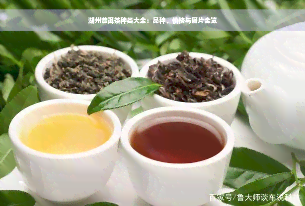 湖州普洱茶种类大全：品种、价格与图片全览