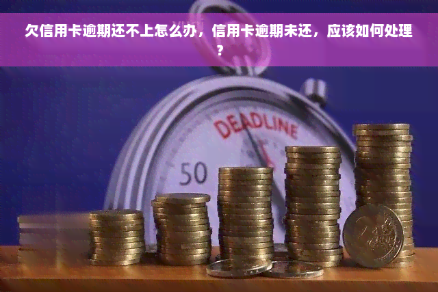 欠信用卡逾期还不上怎么办，信用卡逾期未还，应该如何处理？