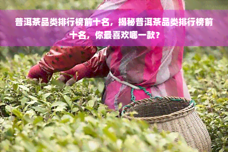 普洱茶品类排行榜前十名，揭秘普洱茶品类排行榜前十名，你最喜欢哪一款？