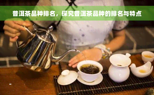 普洱茶品种排名，探究普洱茶品种的排名与特点