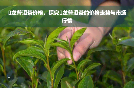 犇龙普洱茶价格，探究犇龙普洱茶的价格走势与市场行情