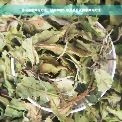 普洱茶常冲泡方法，轻松学会！普洱茶的正确常冲泡方法