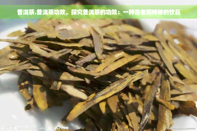 普洱茶.普洱茶功效，探究普洱茶的功效：一种古老而神秘的饮品