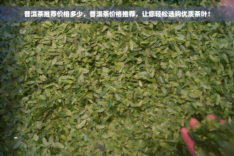 普洱茶推荐价格多少，普洱茶价格推荐，让您轻松选购优质茶叶！