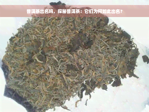 普洱茶出名吗，探秘普洱茶：它们为何如此出名？