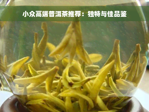 小众高端普洱茶推荐：独特与佳品鉴