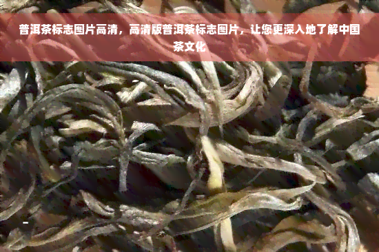 普洱茶标志图片高清，高清版普洱茶标志图片，让您更深入地了解中国茶文化