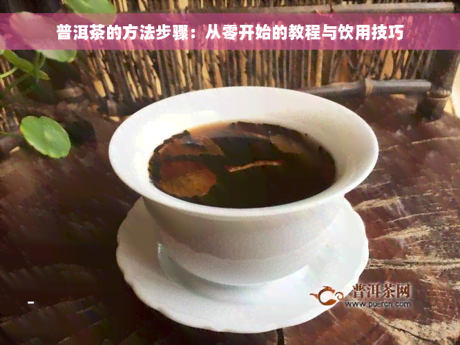 普洱茶的方法步骤：从零开始的教程与饮用技巧