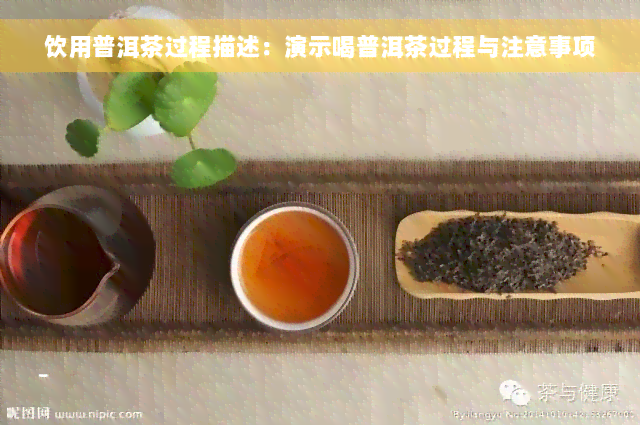 饮用普洱茶过程描述：演示喝普洱茶过程与注意事项