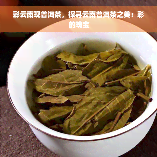 彩云南现普洱茶，探寻云南普洱茶之美：彩的瑰宝