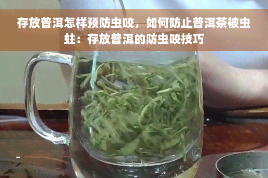 存放普洱怎样预防虫咬，如何防止普洱茶被虫蛀：存放普洱的防虫咬技巧