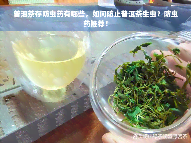 普洱茶存防虫药有哪些，如何防止普洱茶生虫？防虫药推荐！