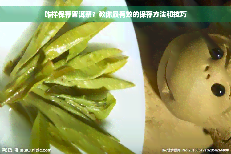 咋样保存普洱茶？教你最有效的保存方法和技巧