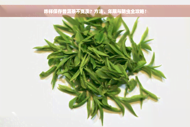 咋样保存普洱茶不变质？方法、年限与防虫全攻略！