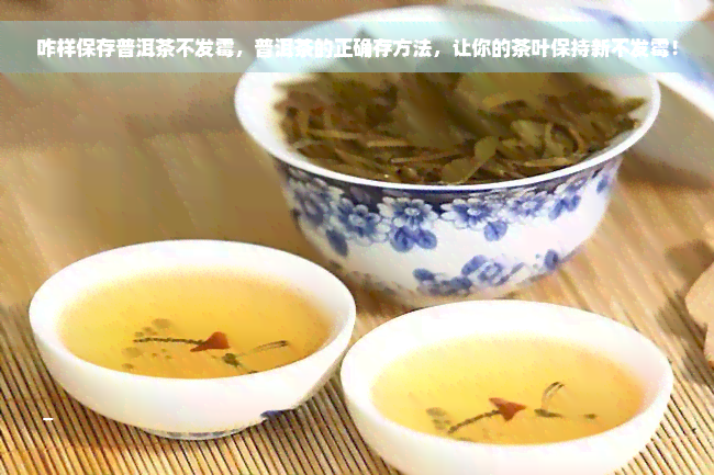 咋样保存普洱茶不发霉，普洱茶的正确存方法，让你的茶叶保持新不发霉！